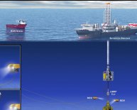 Riser oil